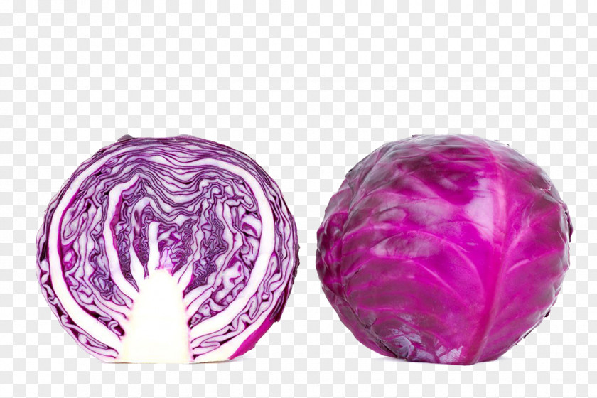 Purple Cabbage Red Vegetable Diabetes Mellitus Eating PNG