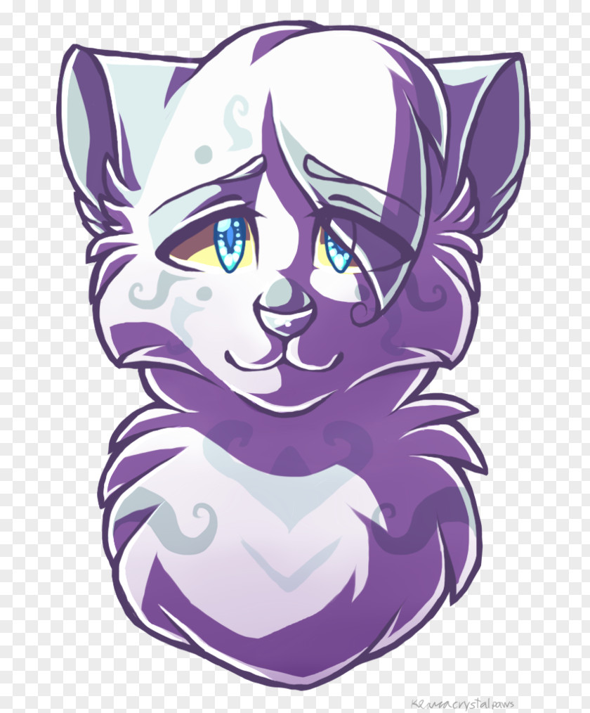 Cat Whiskers Warriors Kitten Drawing PNG