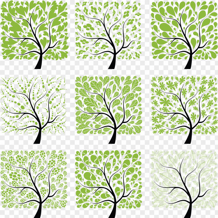 Tree Of Life Photography Clip Art PNG