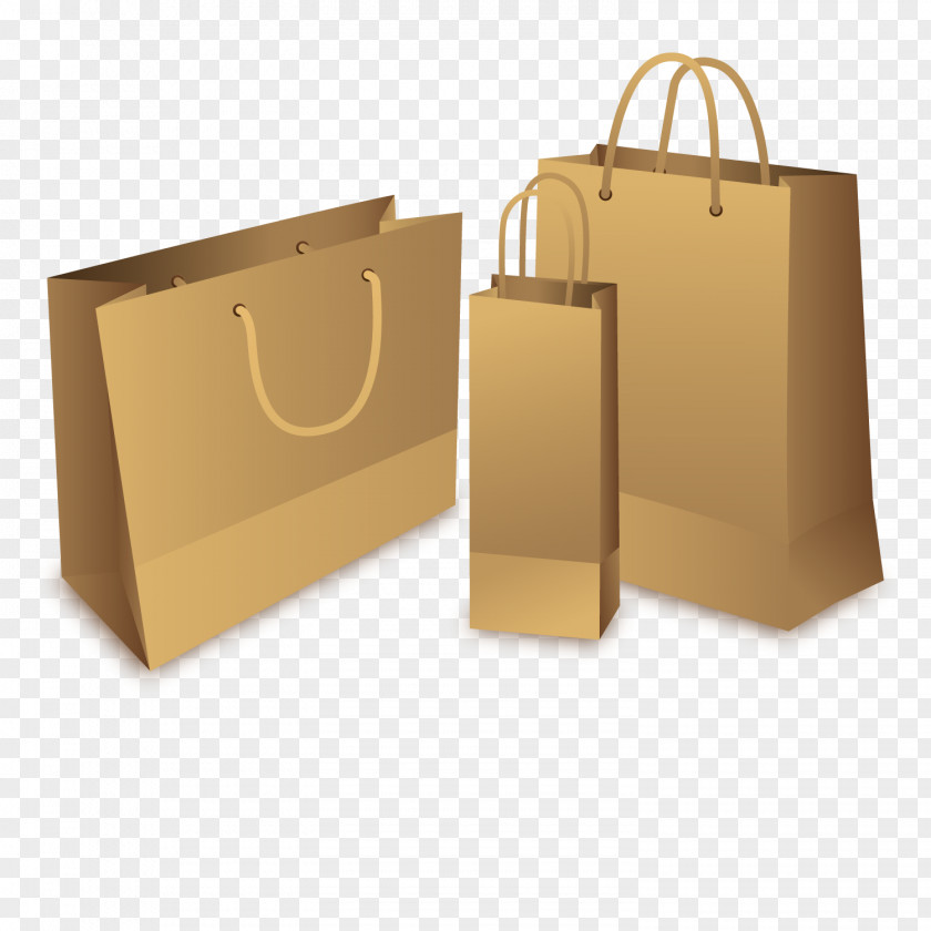 Vector 3D Paper Bag PNG