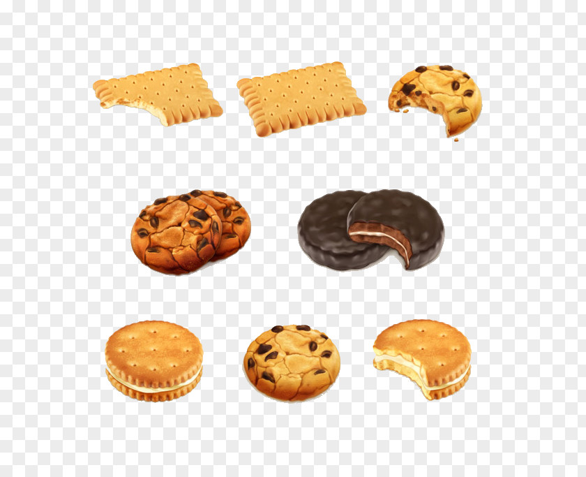 Biscuit Chocolate Chip Cookie Stock Illustration PNG