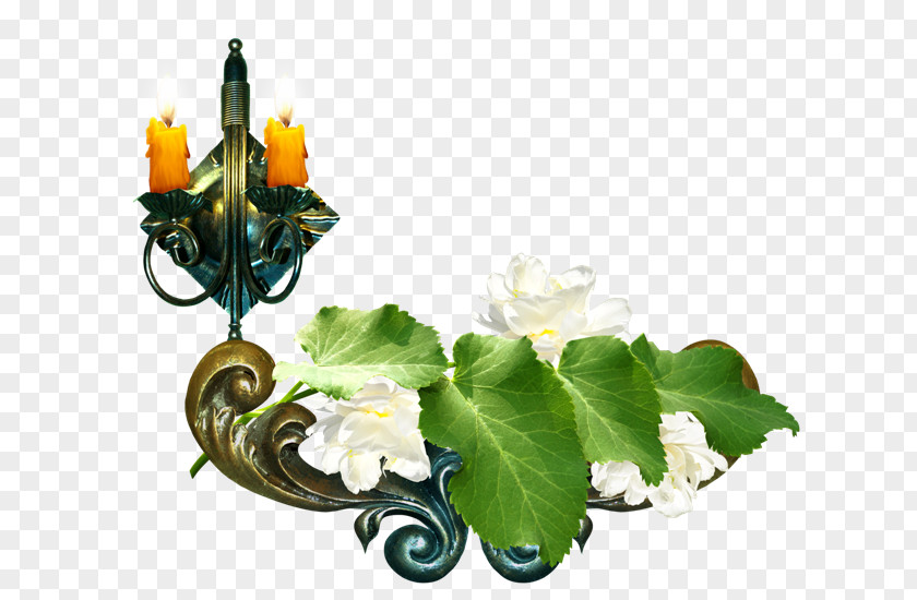 Floral Designs Clip Art PNG
