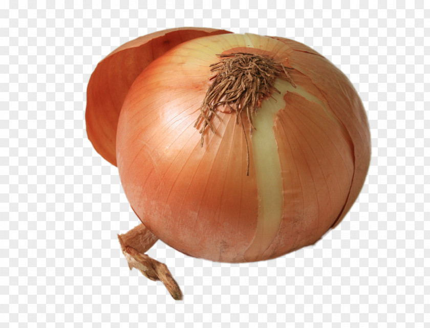 HD Onion Yellow Shallot Food Eating Nutrition PNG