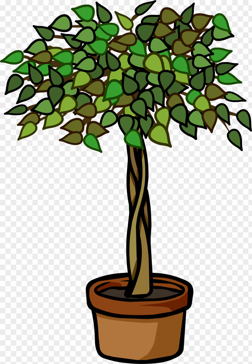 Power Plants Club Penguin Igloo Plant Weeping Fig Furniture PNG