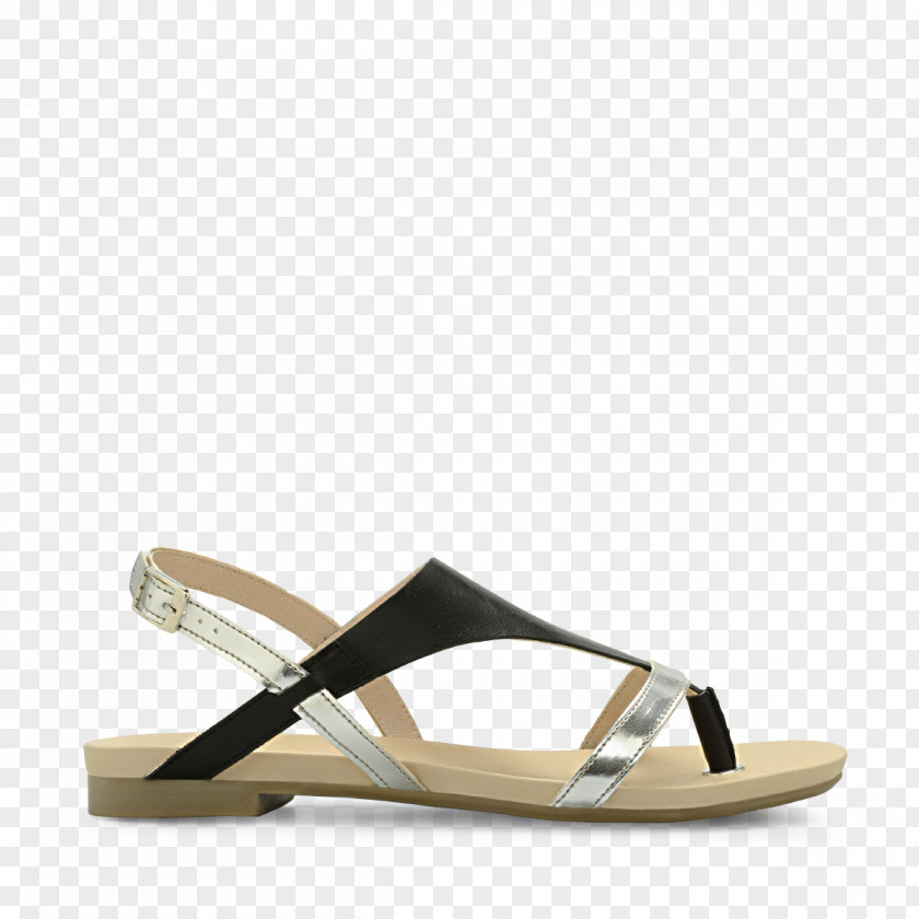 Sandal Shoe PNG