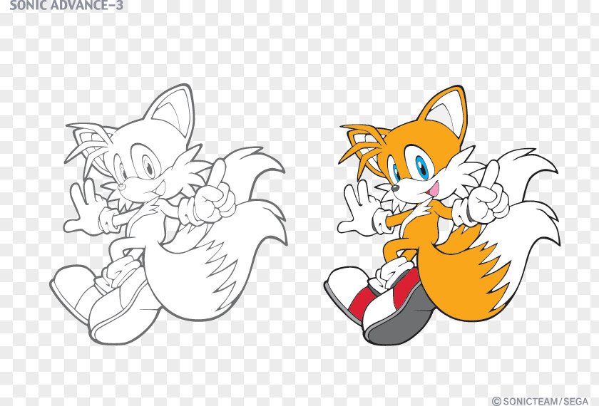 Luigi Sonic Chaos Mario & At The Olympic Games Tails Knuckles Echidna Sega All-Stars Racing PNG