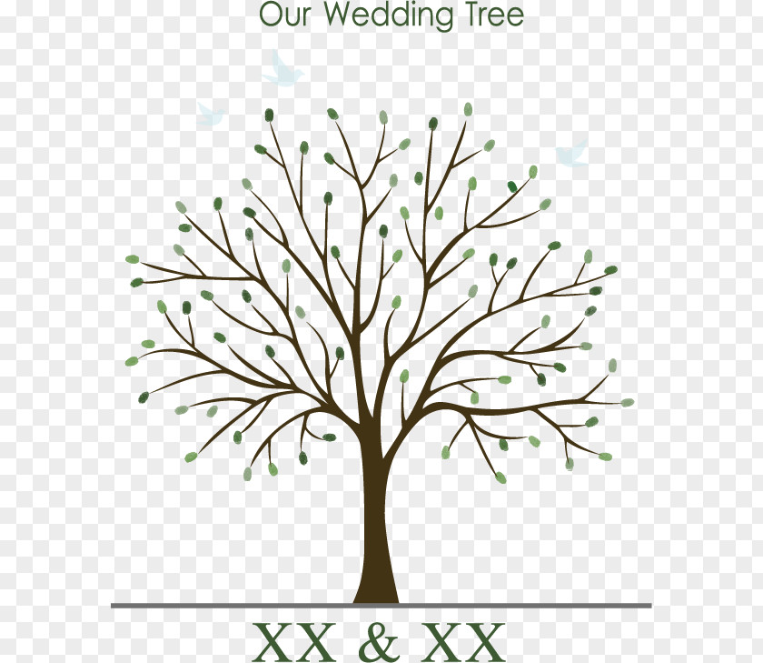 Wedding Tree Vector Invitation Guestbook Fingerprint PNG