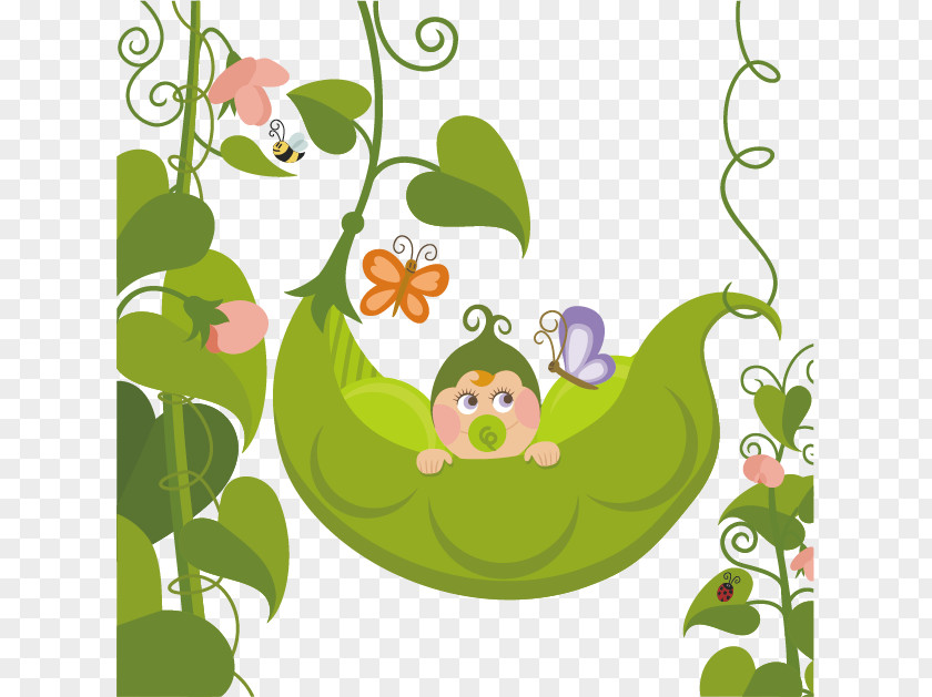 Baby Peas Stock Illustration Infant PNG