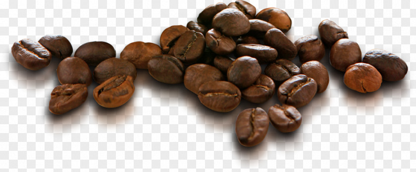 Coffee Beans Tea Caffxe8 Americano Espresso Mocha PNG