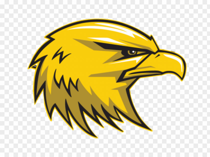 Golden Logo Del Oro High School Rocklin National Secondary Eagle Granite Bay, California PNG