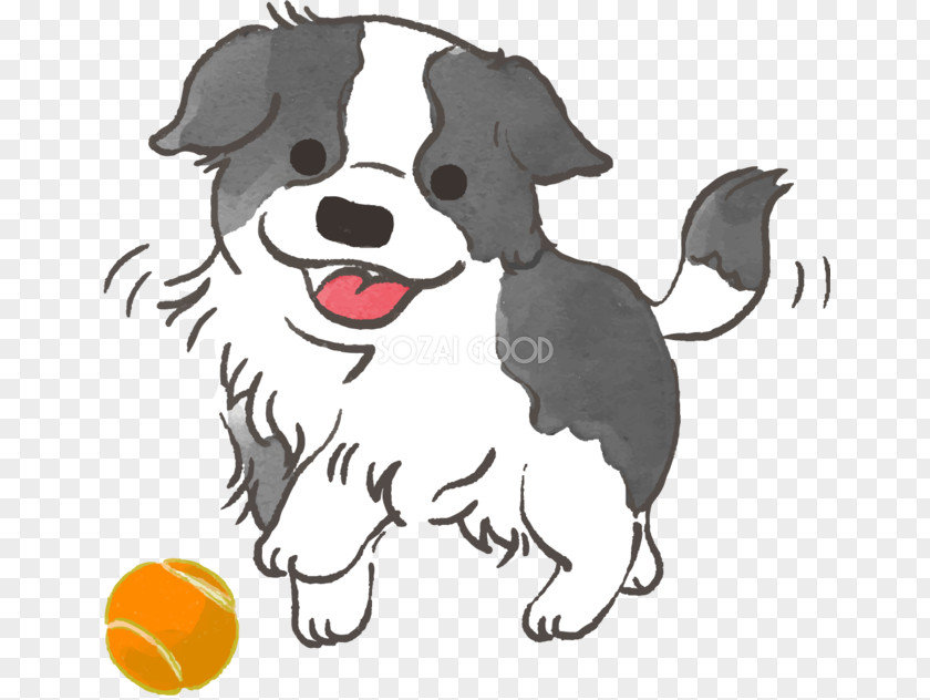 Puppy Dog Breed Border Collie Clip Art Illustration PNG
