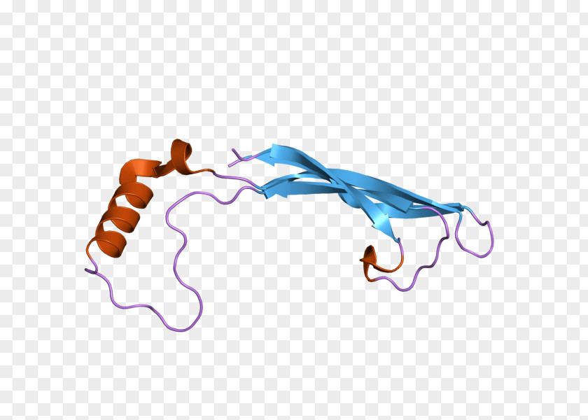 Artemin Protein Arsenic Lanthanum Gene PNG