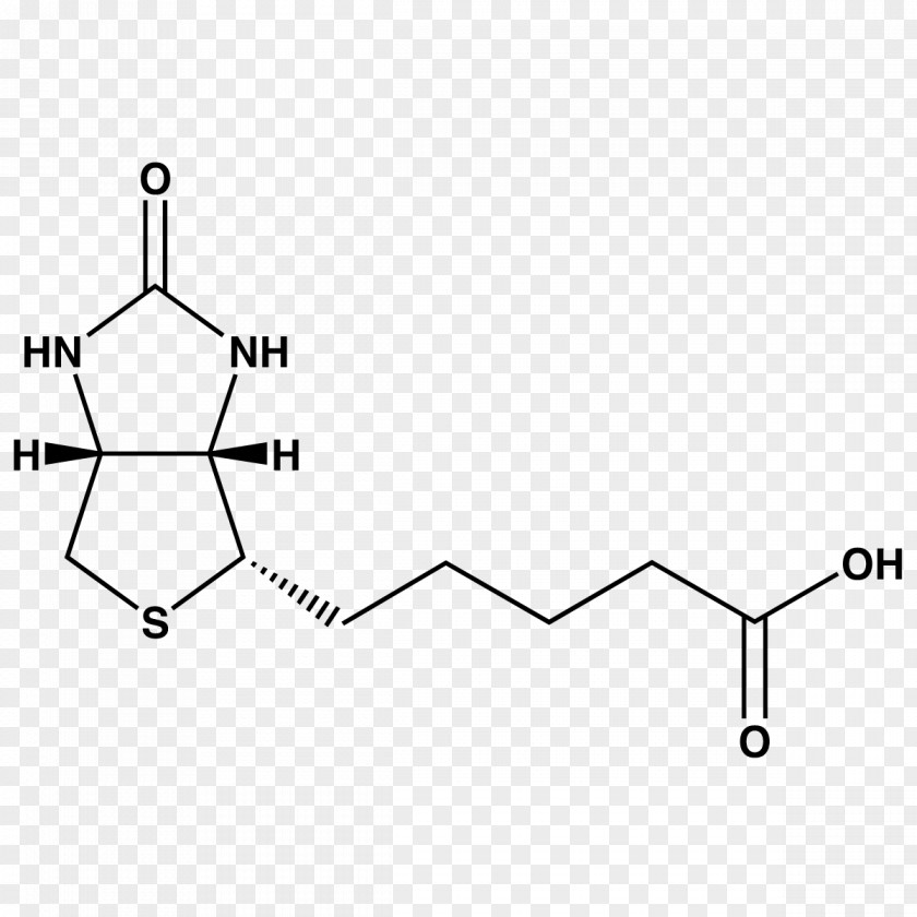 Biotin Vitamin Carboxylation Nitrogen-15 Carbon-13 PNG
