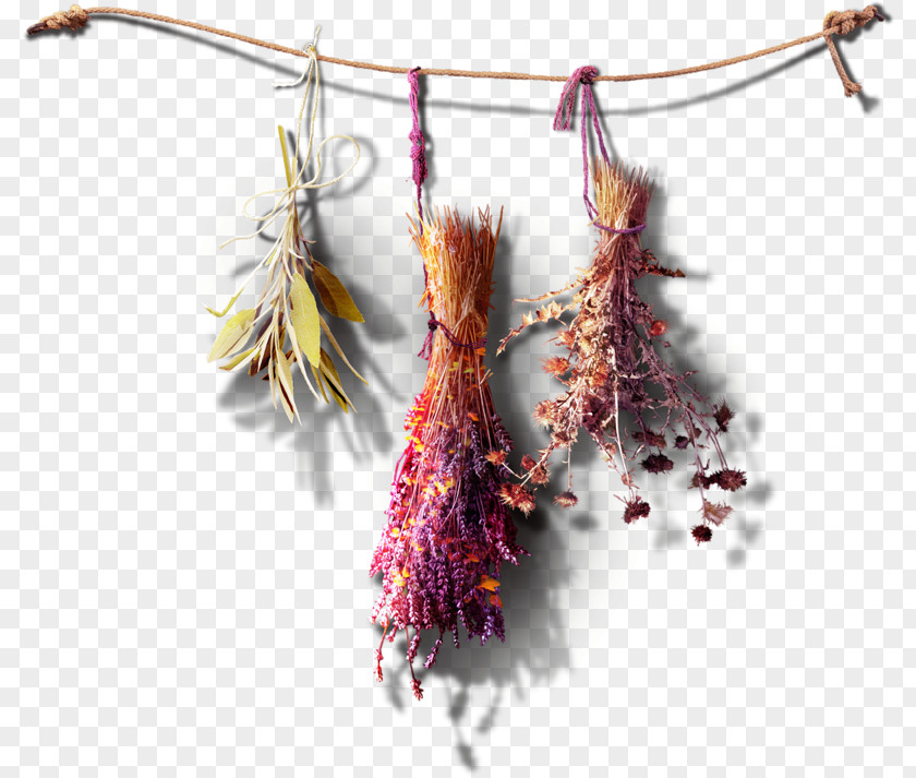 Dried Flowers PNG flowers clipart PNG
