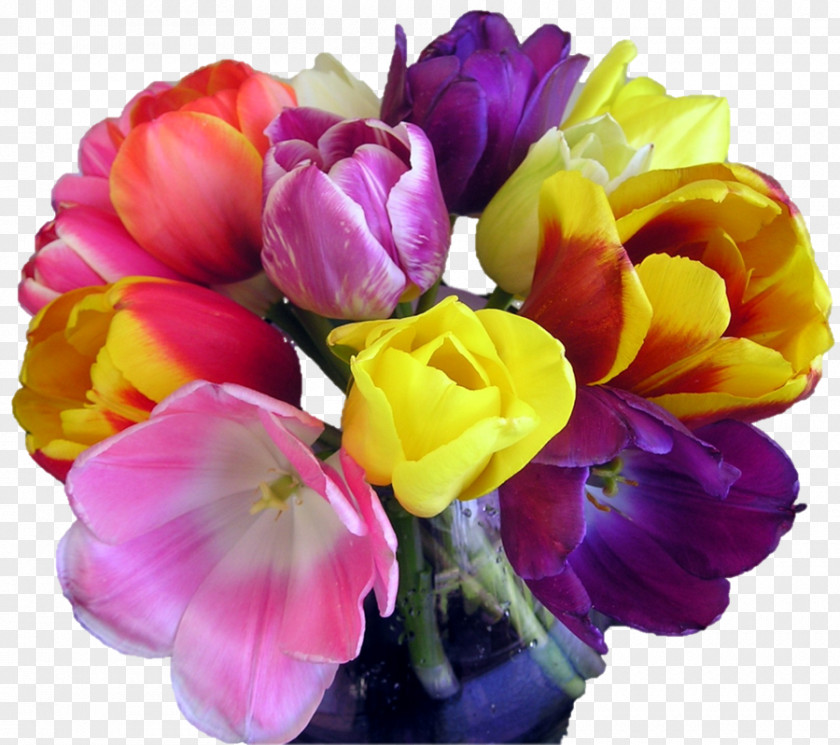 Tulip Flower Bouquet Cut Flowers Floral Design PNG
