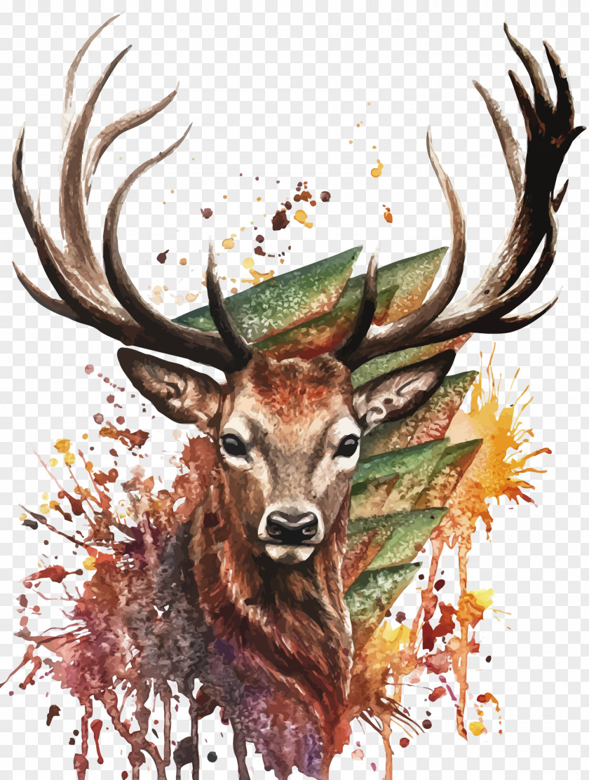 Vector Watercolor Deer Painting Drawing PNG