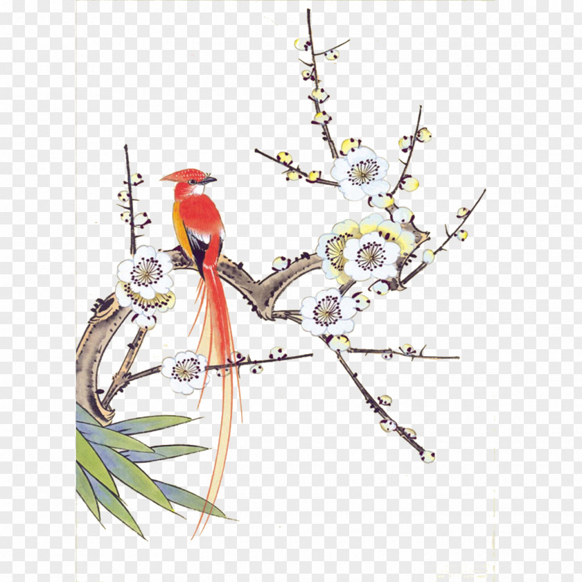 Birds And Flowers Chinese Painting Gongbi Bird-and-flower Ink Wash PNG