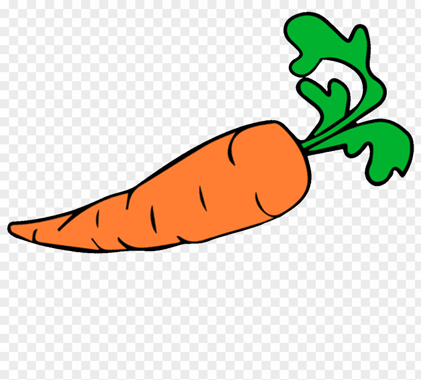 Carrot Auglis Vegetable Clip Art PNG
