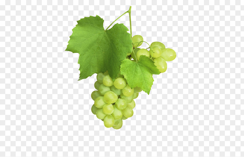 Grape Sultana Common Vine Juice Fruit PNG
