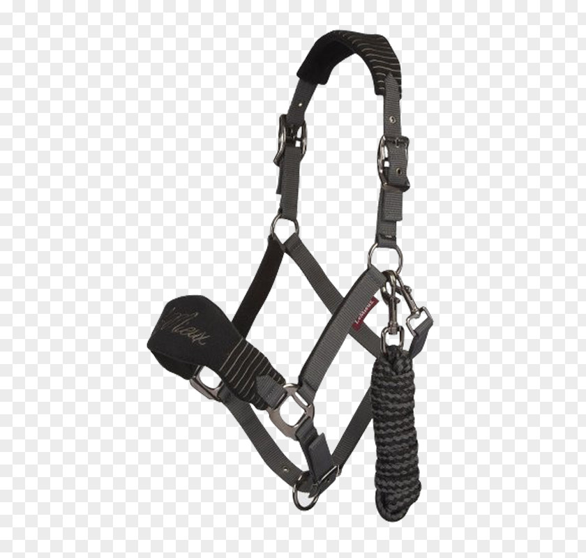 Horse Halter Lead Rope Equestrian PNG