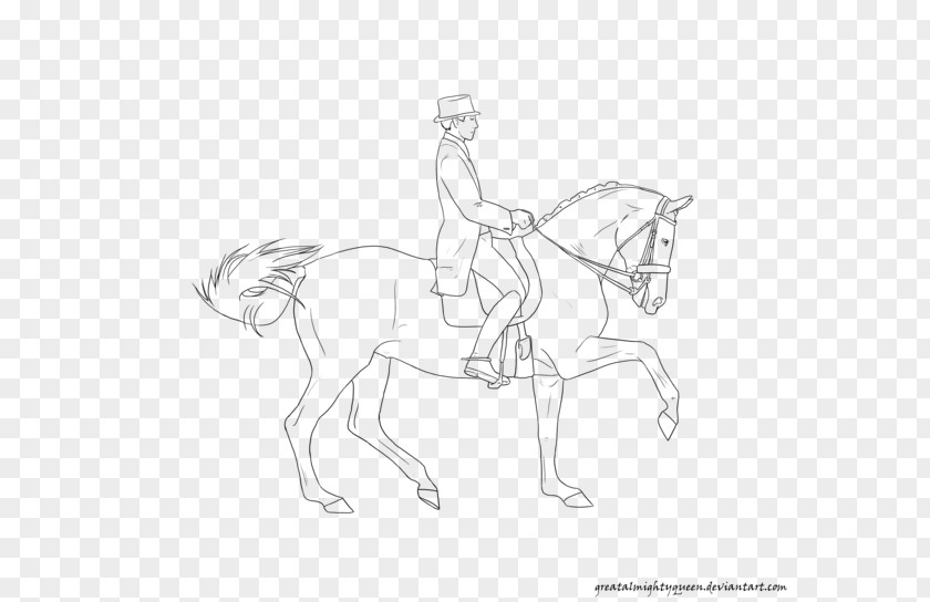 Horse Mule Line Art Sketch PNG