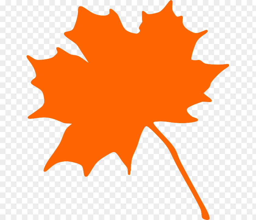 Plant Plane Maple Leaf PNG