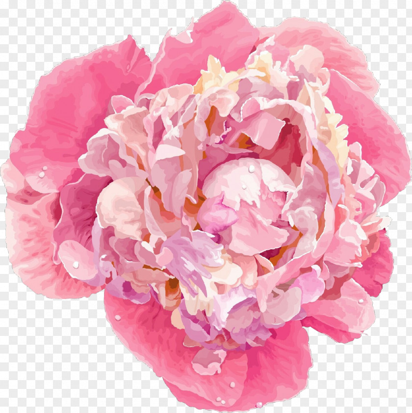 Rose Garden Roses PNG