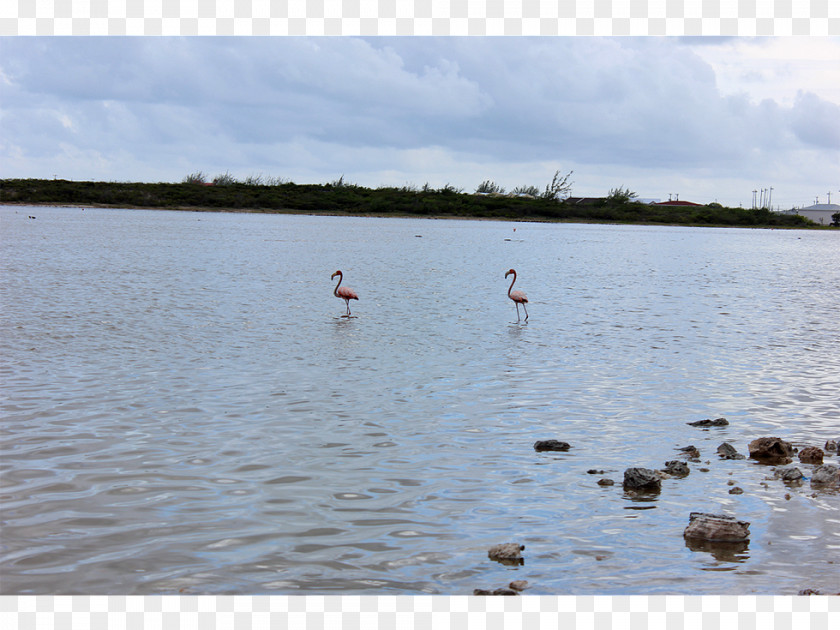 Water Resources Recreation Loch Pond PNG