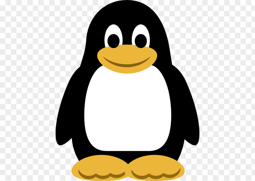 Cartoon Pictures Of Penguins Tacky The Penguin Clip Art PNG