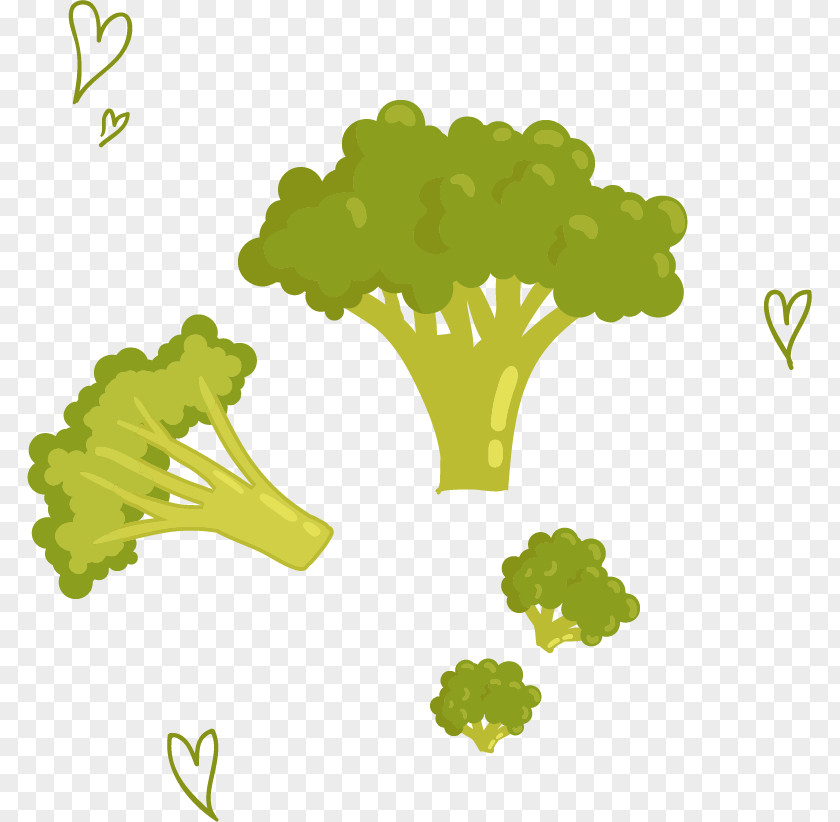 Cauliflower Vector Material Vegetable Bell Pepper Zucchini Tomato PNG