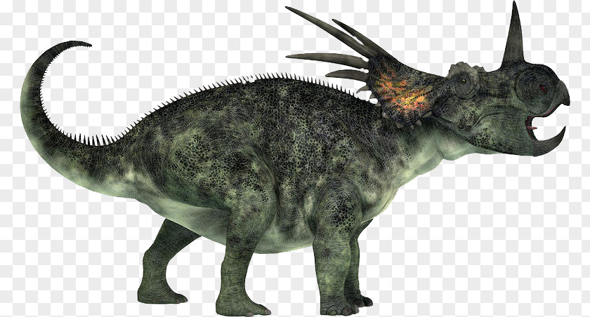 Dinosaur Ceratopsia Styracosaurus Triceratops Velafrons Late Cretaceous PNG