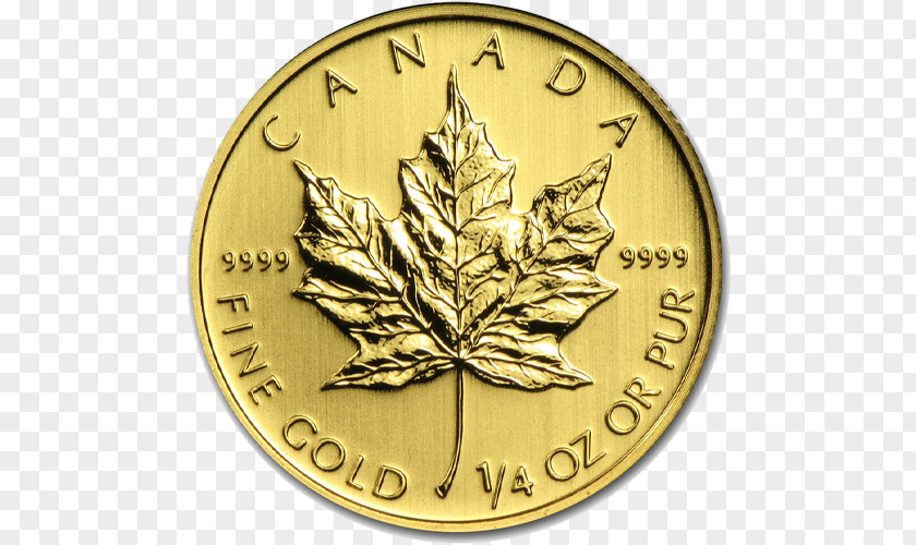 Gold Leaf Canadian Maple Royal Mint Bullion Coin PNG