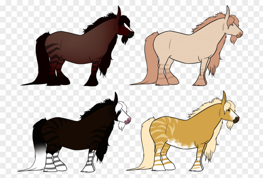 Mustang Mule Foal Pony Stallion PNG