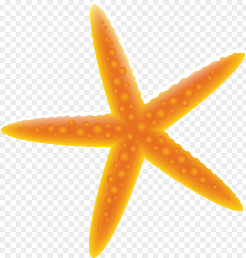 Cartoon Yellow Starfish Tuscany Cancxfan Hacienda Morelos Hotel Room PNG