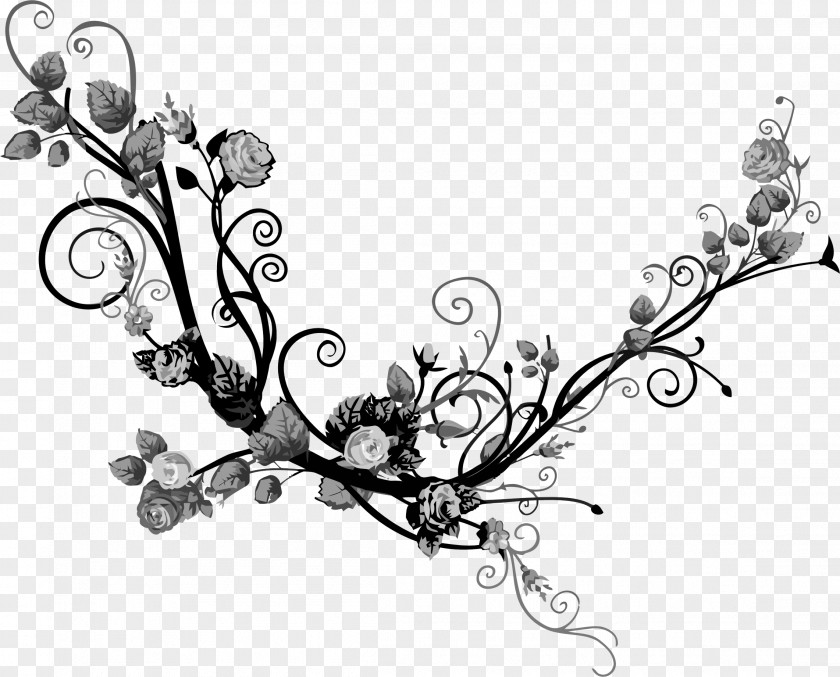 Flourish Photography Flower Clip Art PNG