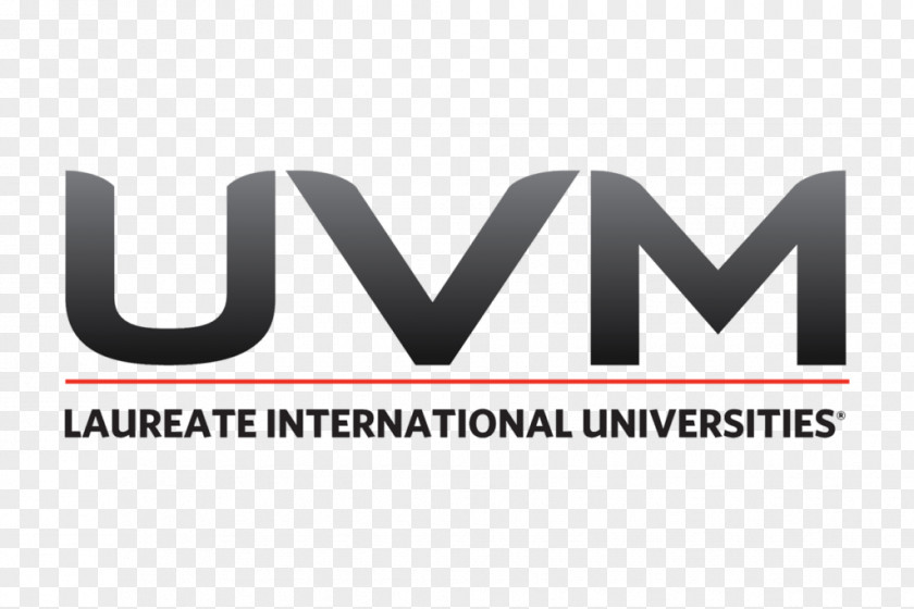 Student Universidad Del Valle De México Lomas Verdes University 3D MARKET PNG