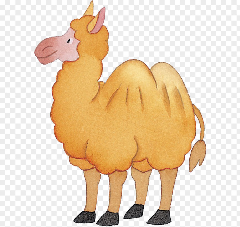 Cartoon Hand Painted Camel Drawing PNG