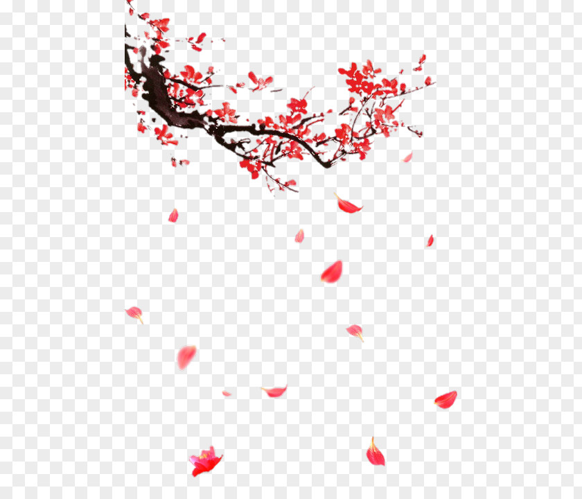 Flower Plum Blossom PNG