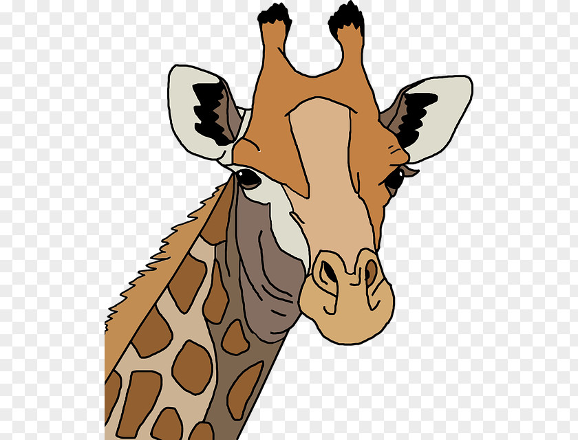 Giraffe Avatar Northern Leopard Family T-shirt Drawing PNG