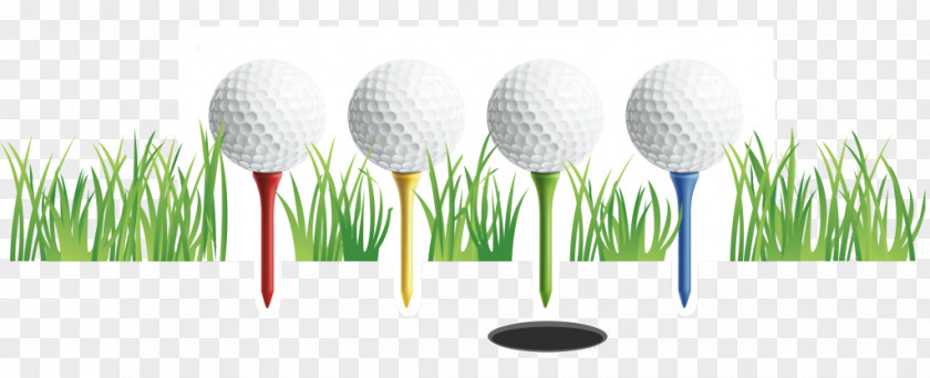 Golf Tournament LinkedIn Balls Course Job PNG