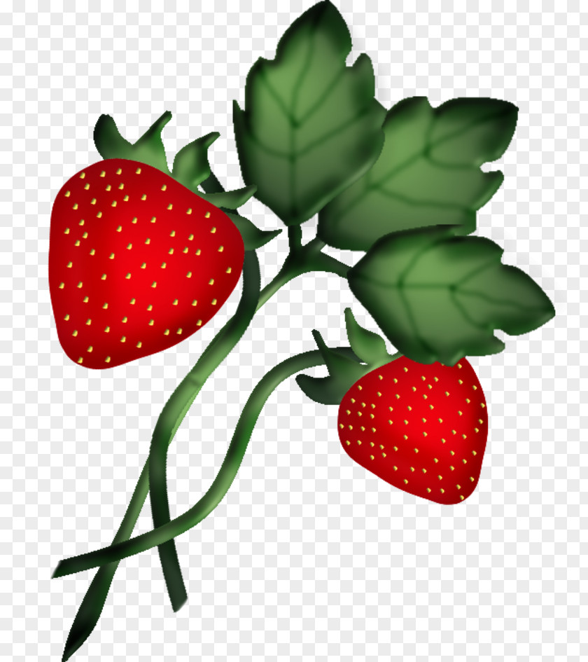 Strawberry Accessory Fruit Amorodo Food PNG