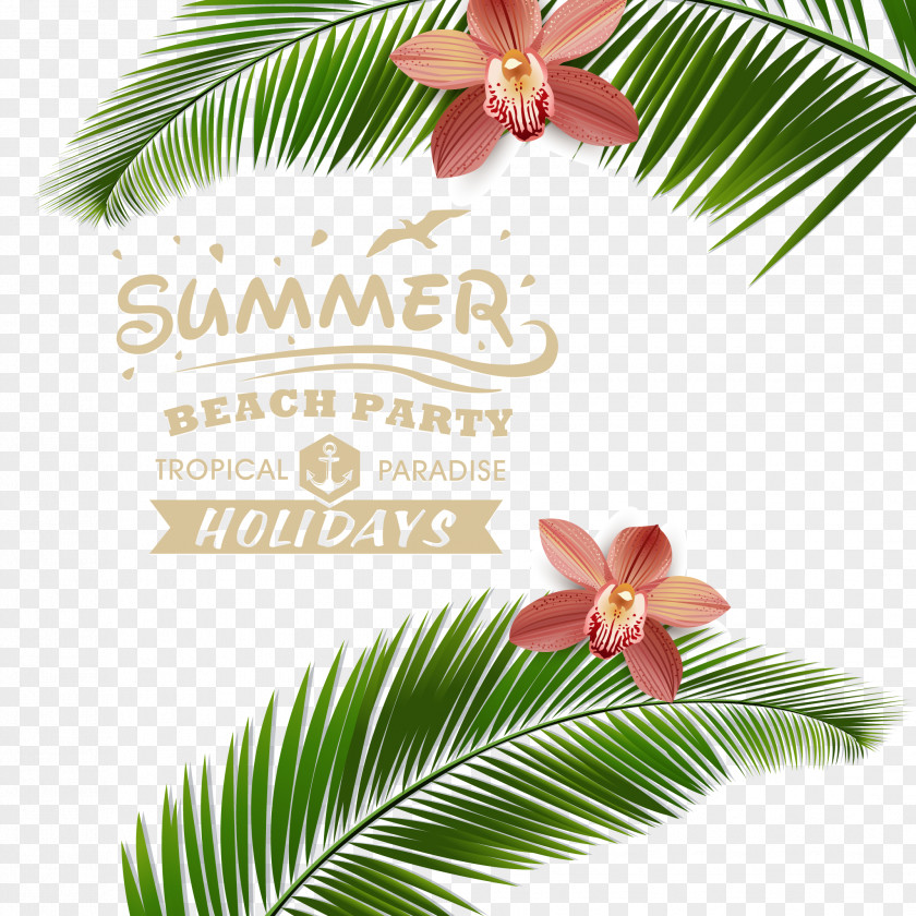 Summer Beach Resort Vector Material Posters Poster PNG