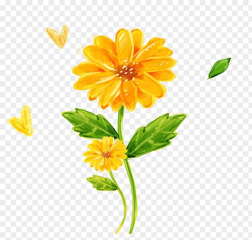 Sunflower Icon PNG