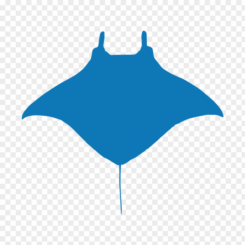 Giant Oceanic Manta Ray Cartilaginous Fishes Stingrays Trust Mobula PNG oceanic manta ray fishes Mobula, Space button clipart PNG