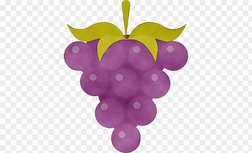 Grape Purple Violet Grapevine Family Vitis PNG
