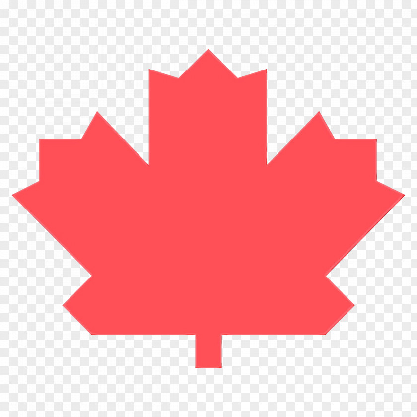 Logo Symbol Maple Leaf PNG