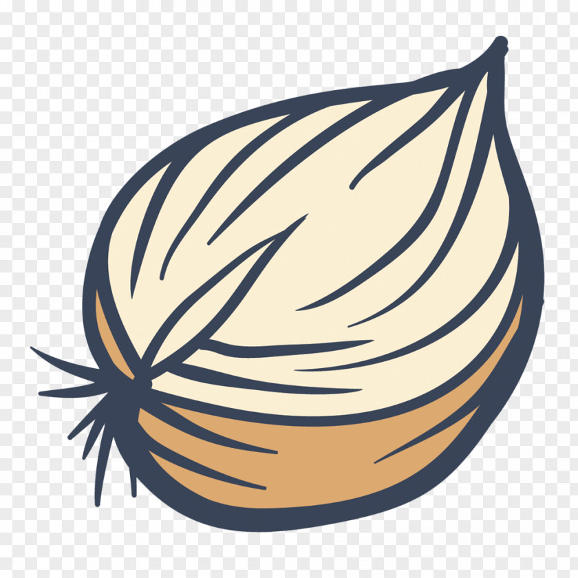 Vector Creative Hand-painted Cut Onion Clip Art PNG
