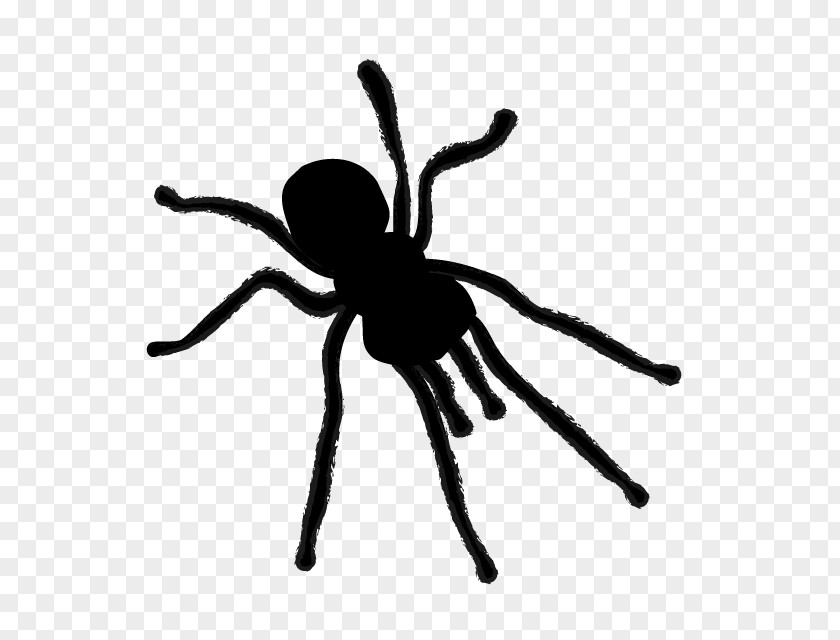 Animal Illustration Spider Silhouette Clip Art PNG