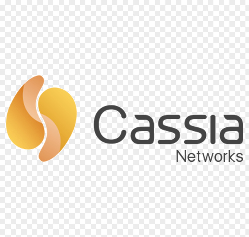 Bluetooth Cassia Networks Computer Network Internet Of Things Router PNG