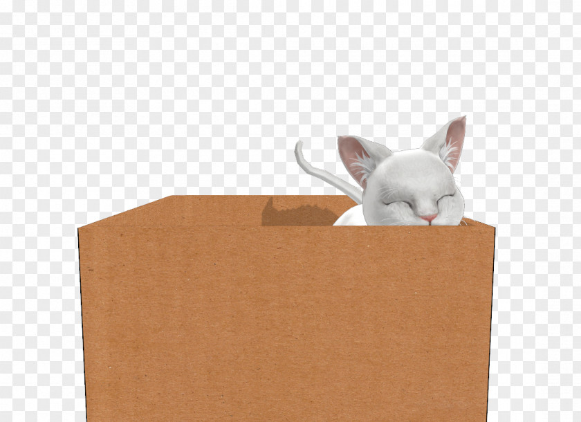 Cardboard Cat Block Dog Canidae Mammal Snout PNG